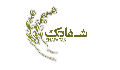 العربی